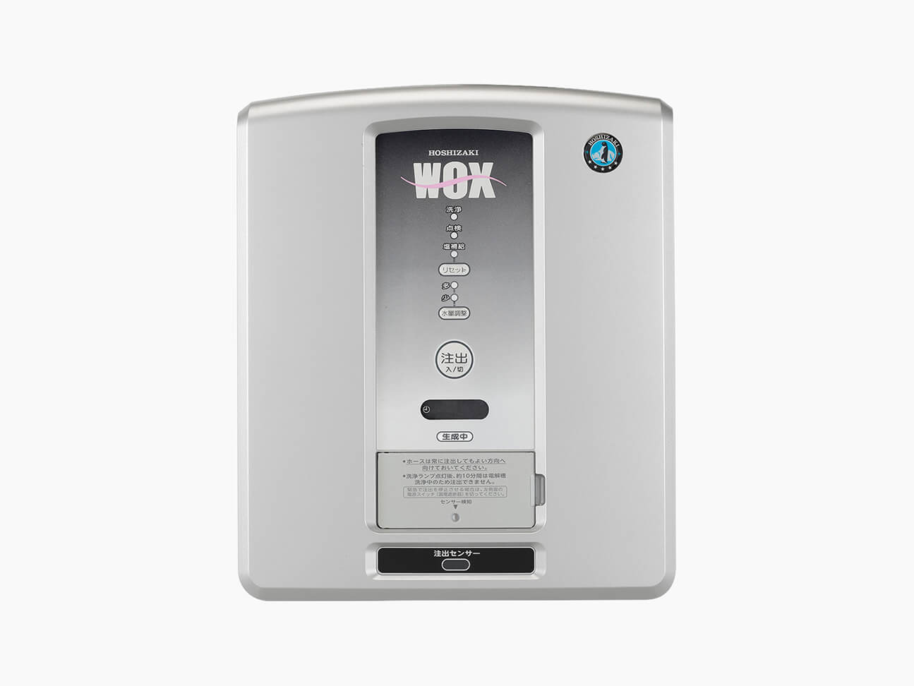 Water Electrolyzer